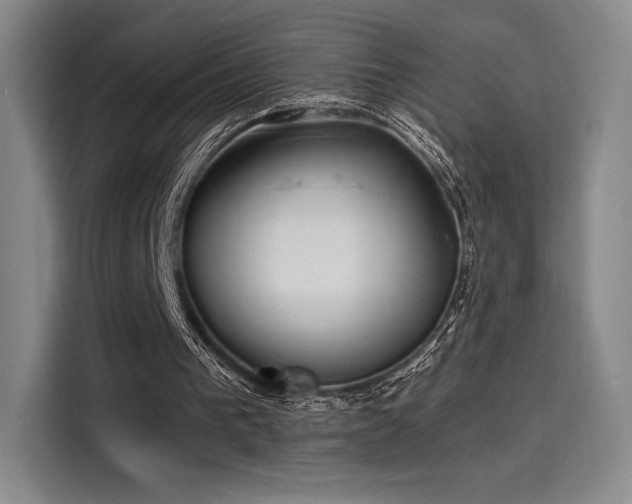 X0000114200193200910161231