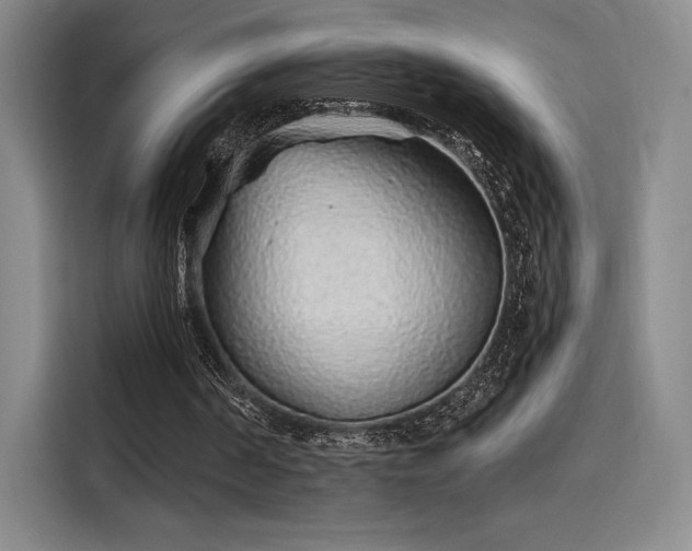 X0000114200194200910161231