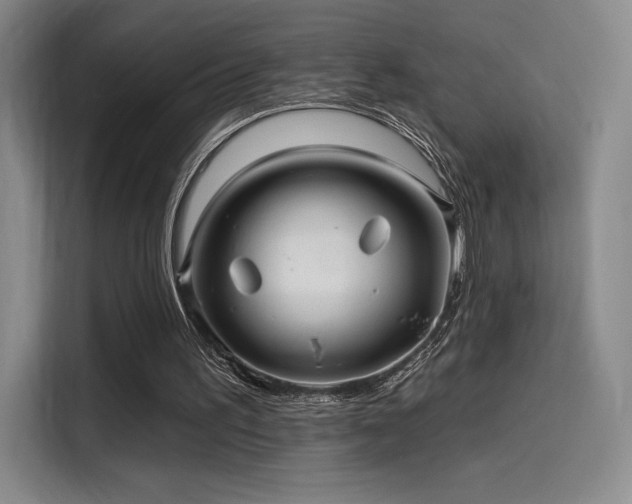 X0000114200195200910161231