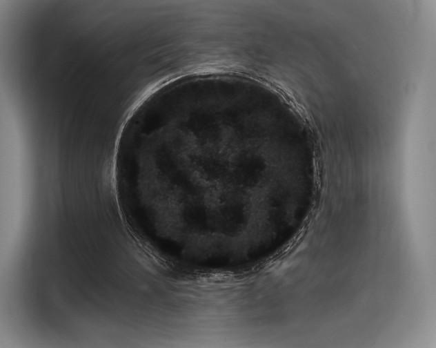 X0000114200196200910161231