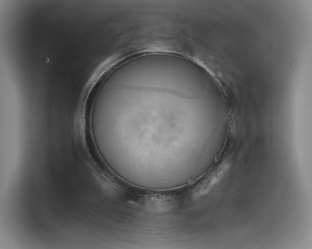 X0000114200199200910161231