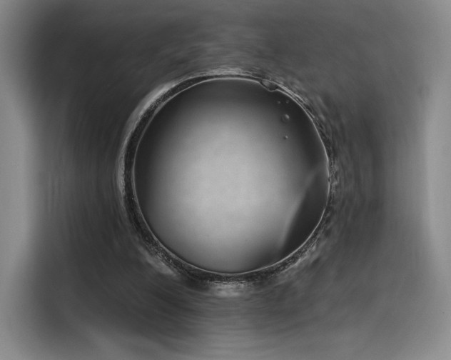 X0000114200200200910161231