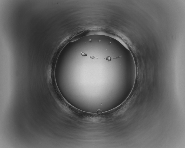 X0000114200201200910161231