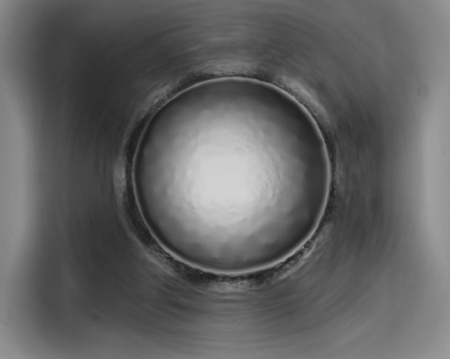 X0000114200202200910161231