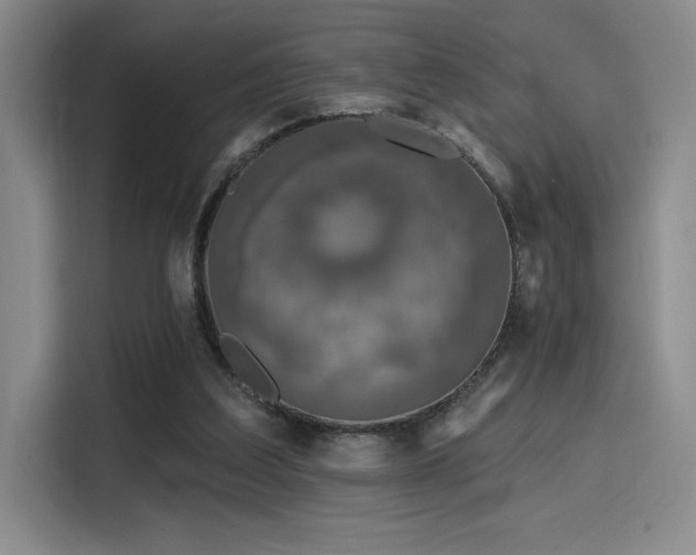 X0000114200203200910161231