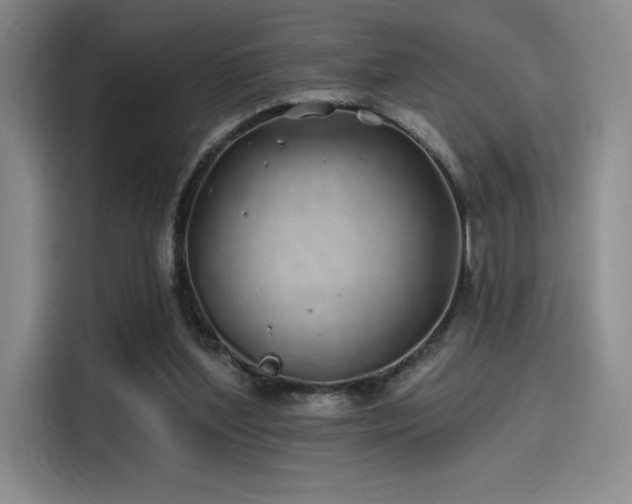 X0000114200204200910161231