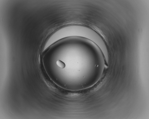 X0000114200205200910161231