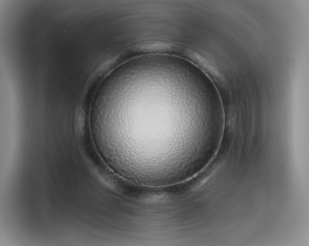 X0000114200206200910161231