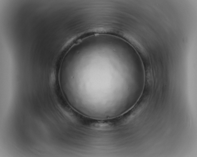 X0000114200208200910161231