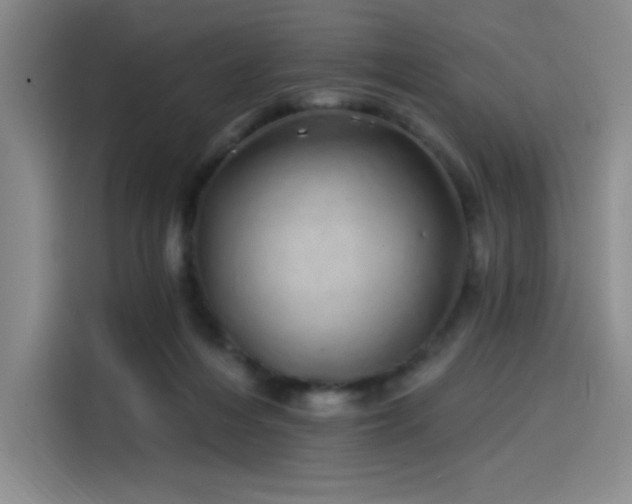 X0000114200216200910161231