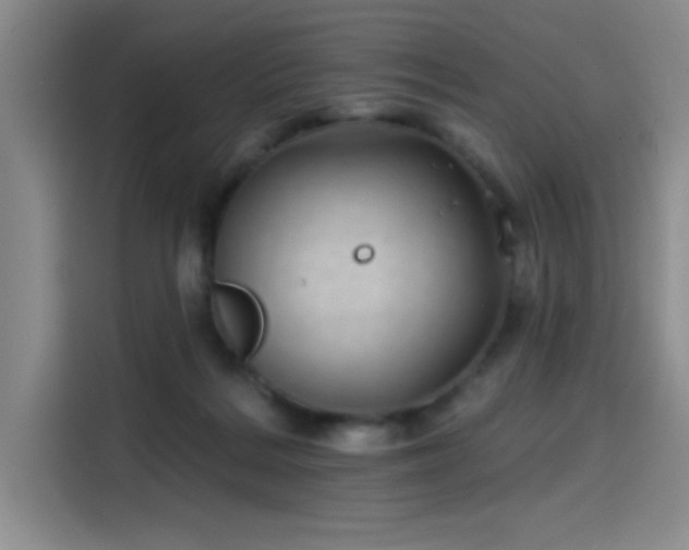 X0000114200220200910161231