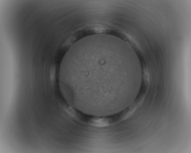 X0000114200221200910161231