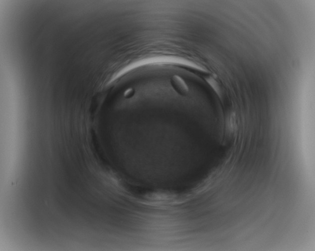 X0000114200223200910161231