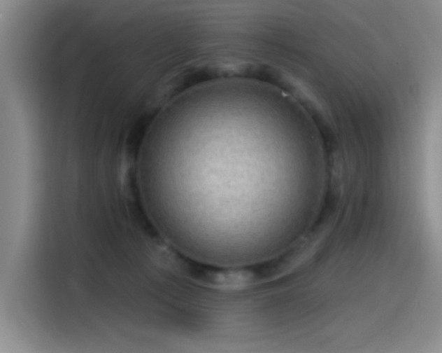 X0000114200225200910161231