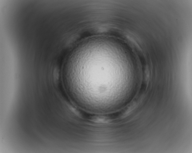 X0000114200230200910161231