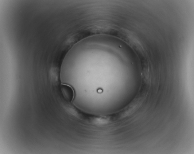 X0000114200232200910161231