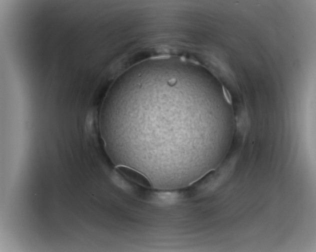 X0000114200233200910161231