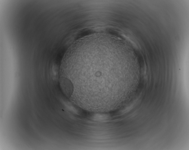 X0000114200234200910161231