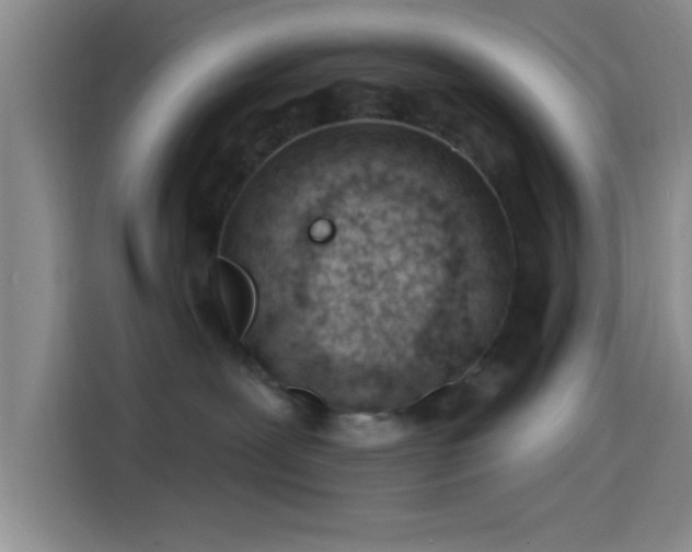 X0000114200239200910161231