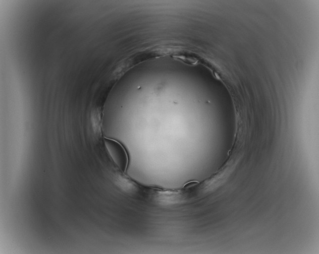 X0000114200240200910161231