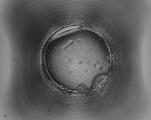 X0000114200242200910161230