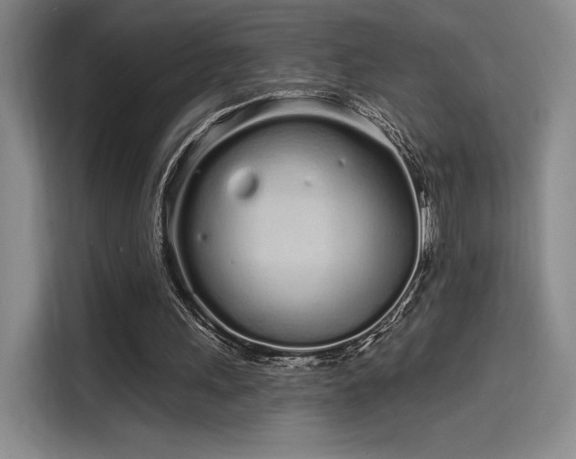 X0000114200243200910161230