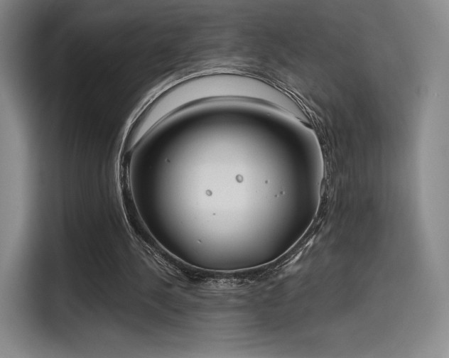 X0000114200244200910161230