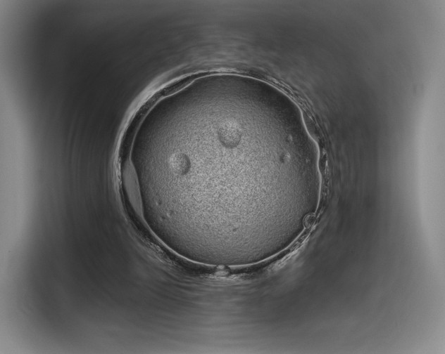 X0000114200246200910161230