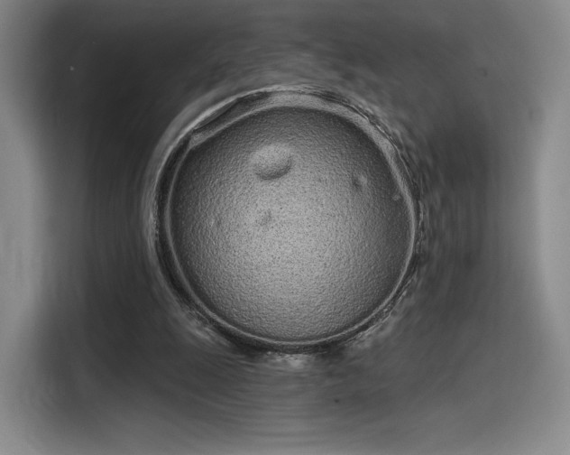 X0000114200247200910161230