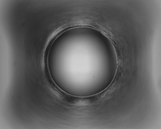 X0000114200248200910161230