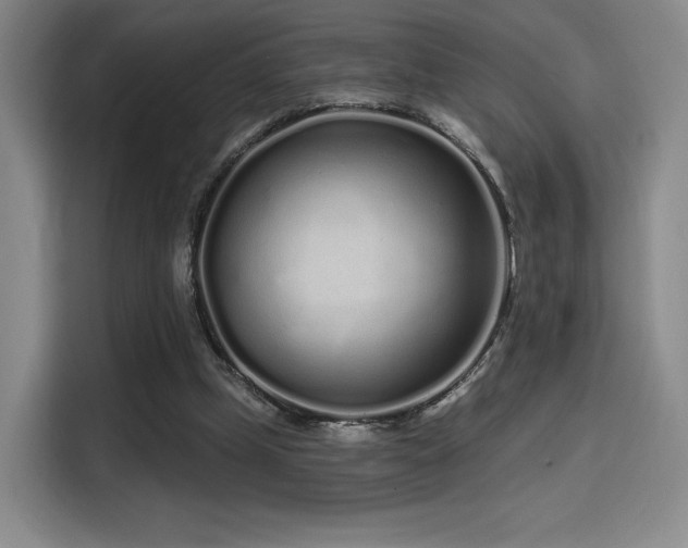 X0000114200249200910161230