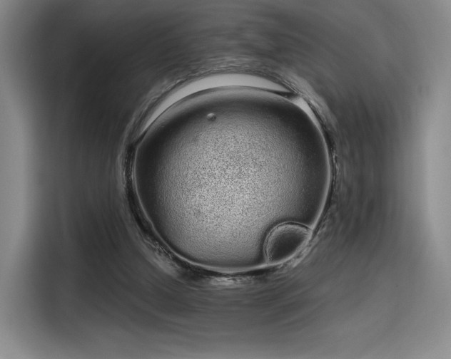 X0000114200250200910161230