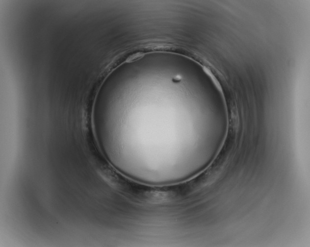 X0000114200255200910161230