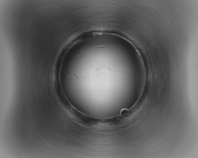 X0000114200256200910161230