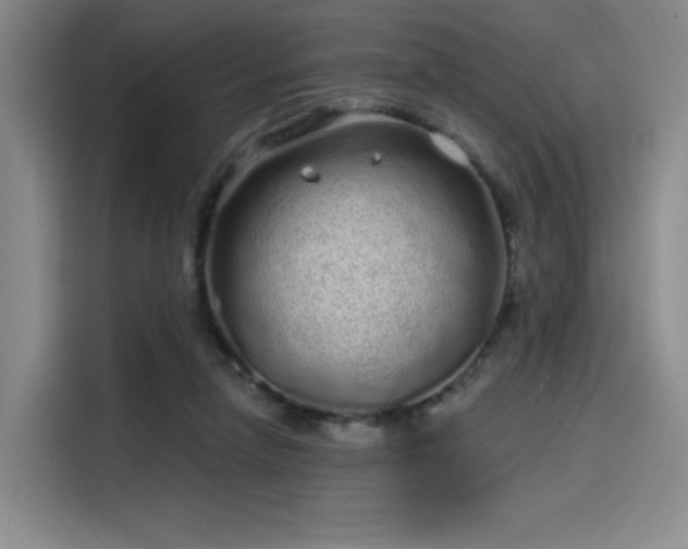 X0000114200258200910161230