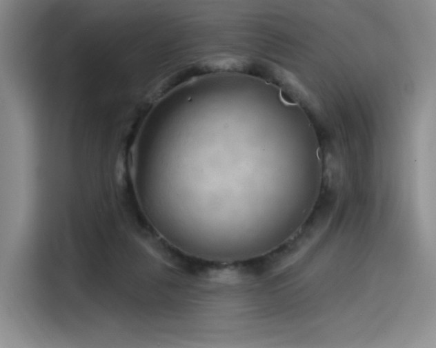 X0000114200259200910161230