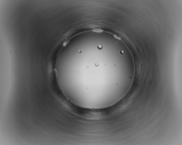 X0000114200260200910161230