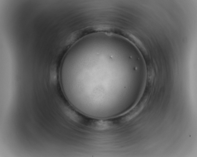 X0000114200261200910161230