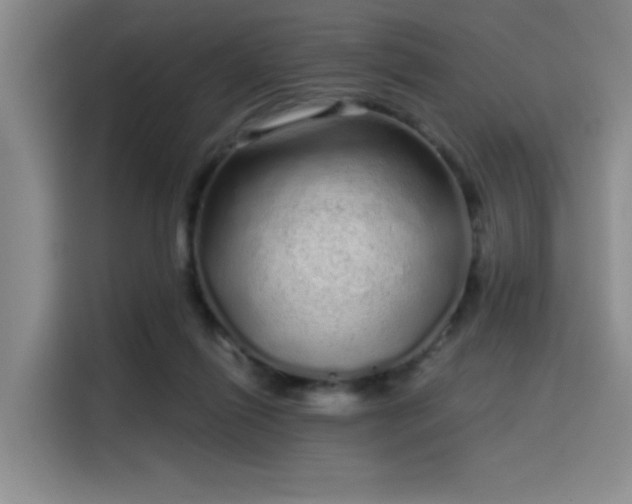 X0000114200262200910161230