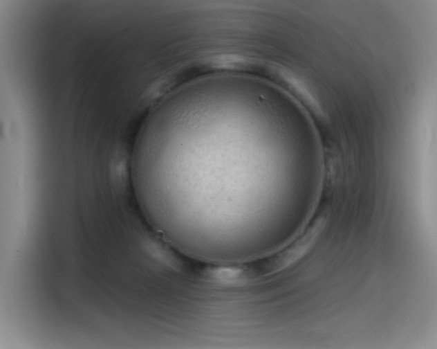 X0000114200265200910161231