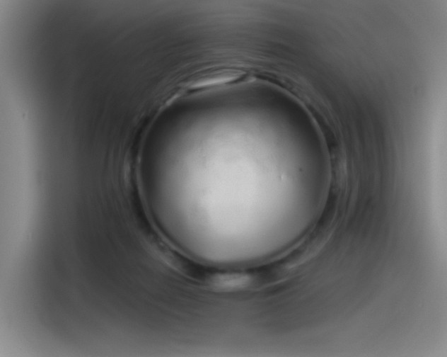 X0000114200266200910161231