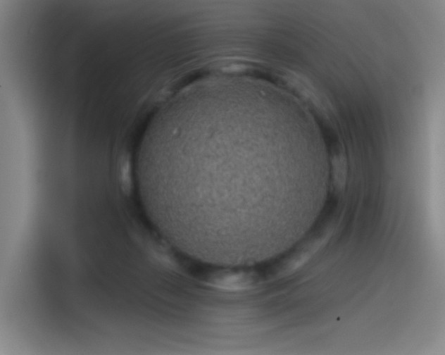 X0000114200267200910161231