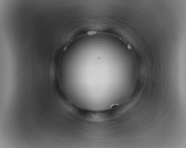 X0000114200268200910161231