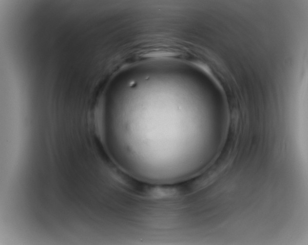 X0000114200270200910161231