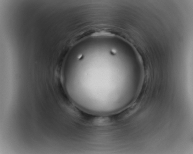 X0000114200271200910161231