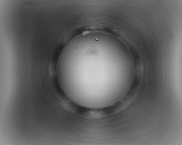 X0000114200272200910161231