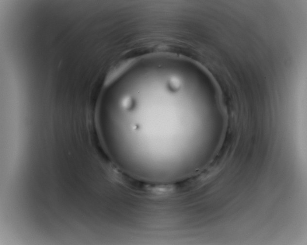 X0000114200274200910161231