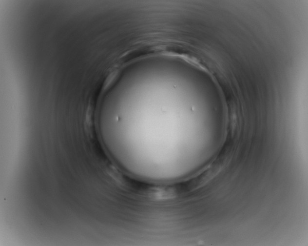 X0000114200275200910161231