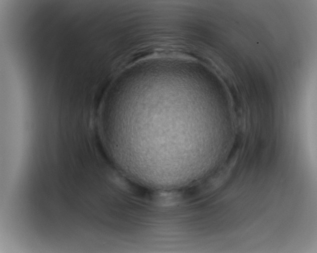 X0000114200277200910161231