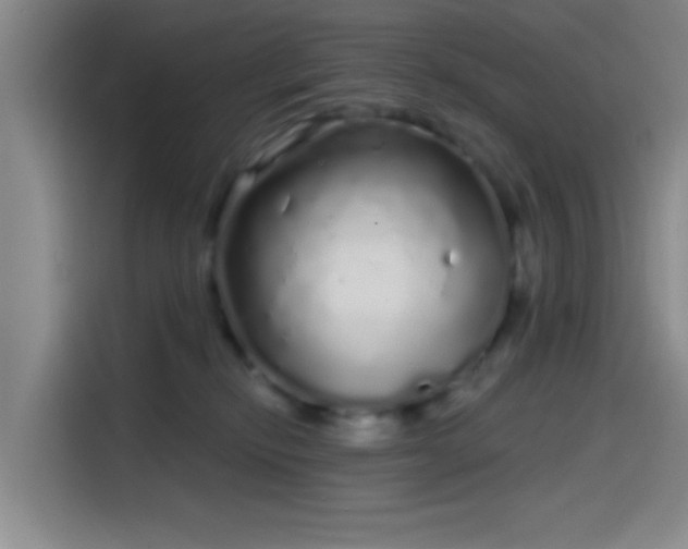 X0000114200278200910161231